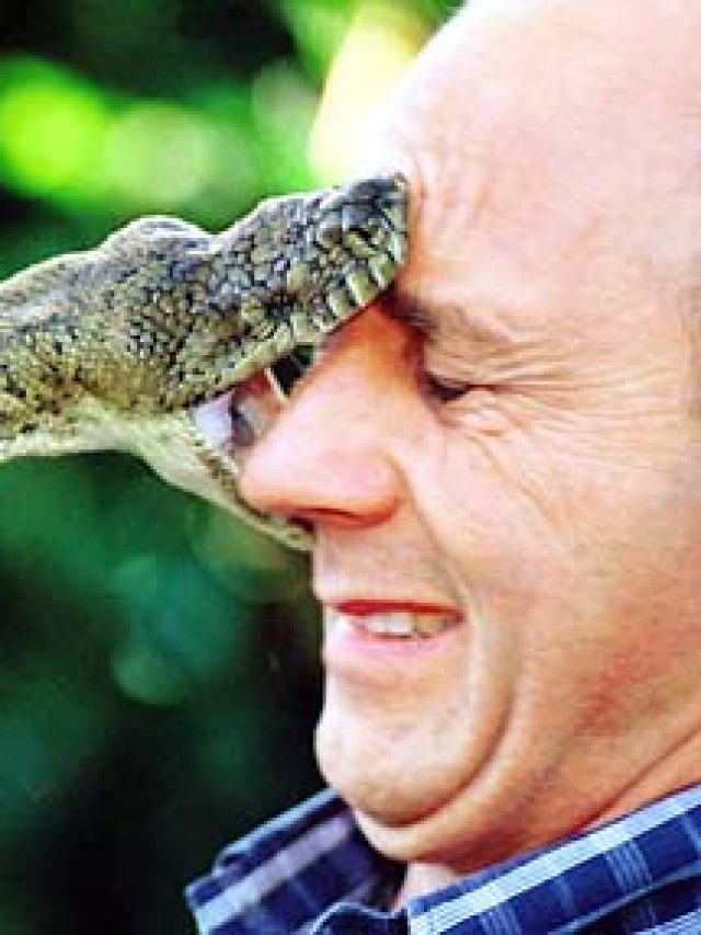 Dos and Don’ts of Snake Bites